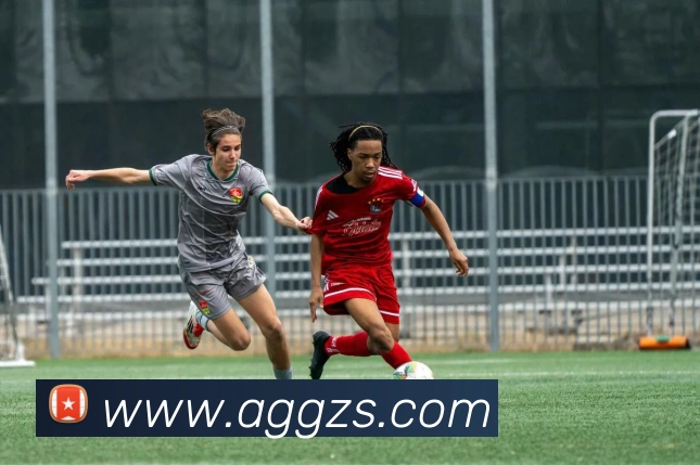 ag官网发展历程